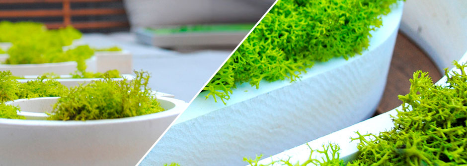 Arquitectura vegetal: Cubiertas y jardines verticales, diseño vegetal, eficiencia energética, y medioambiente