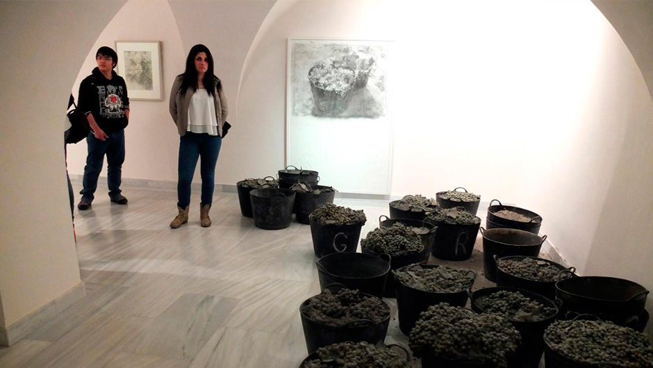 Exposición “El paisaje y el lugar”, de la artista Carmen Laffón