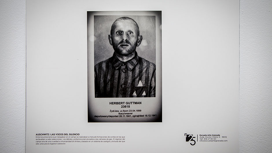 Exposición - Auschwitz: las voces del silencio