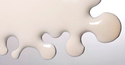 Coral del fondo marino